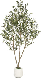 VIVATREES Olive Trees Artificial Indoor, 7FT Tall Faux Olive Tree with White Tall Planter, Artificial Plants with Natural Wood Trunk and Lifelike Fruits for Home Office Decor