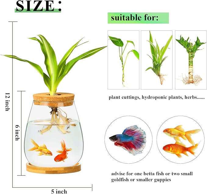 Desktop Plants Terrarium Propagation Station Hydroponic Planters Retro Oval Glass Vase with Lid and Stand Home Office Decoration Gifts 2 Pack