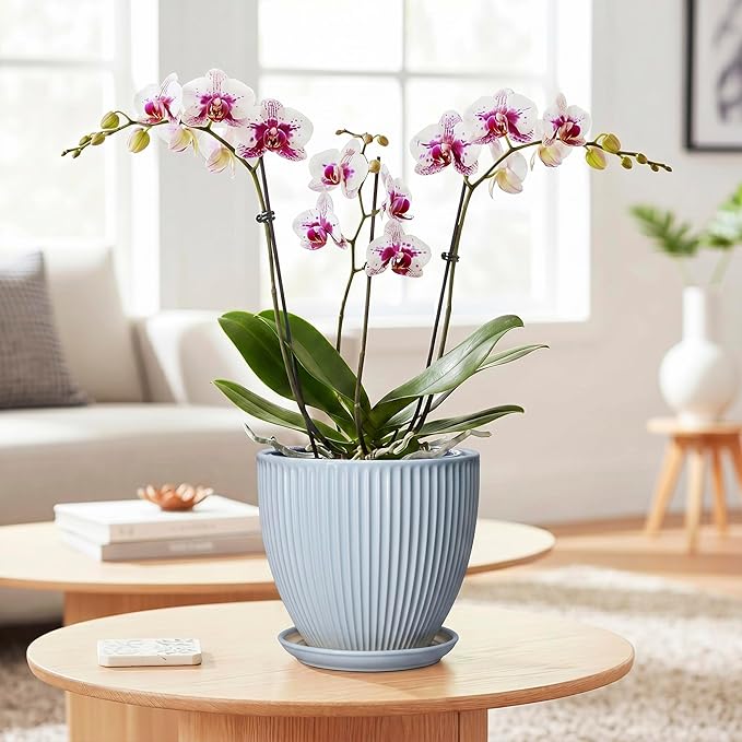 Ceramic Flower Pots, 6 Inch Plant Pot for Indoor Plants, Modern Ceramic Planter with Drainage Hole and Saucer, Small Orchid Pots, Home Decor, Gifts for Plant Lovers Women Men, Light Blue
