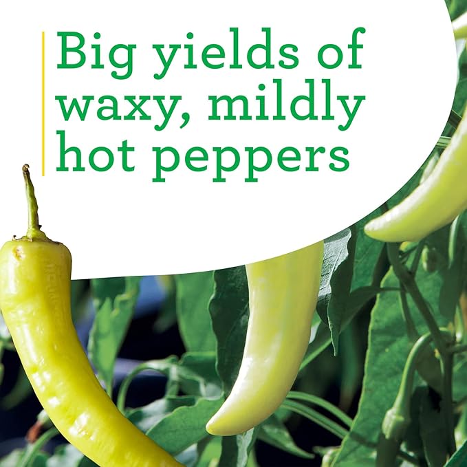 Bonnie Plants Hot Banana Pepper 19.3 oz. 4-pack, Yellow