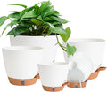 Self Watering Pots for Inoor Ourdoor Plants 8/7/6.5/6/5 Inch Plastic Planters with Drainage Holes & Water Level Indicator, Decorative House Flower Nursery Planting Pots with Saucers (White)