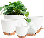 Self Watering Pots for Inoor Ourdoor Plants 8/7/6.5/6/5 Inch Plastic Planters with Drainage Holes & Water Level Indicator, Decorative House Flower Nursery Planting Pots with Saucers (White)