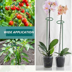 MAFONE 6 Pack 24inch Plant Support Stakes,Plant Stick for Two Sizes(12 or 24Inch) Garden Single Stem Flower Support Stake Plant Cage Support with 20pcs Clips and Plant Ties for Tomato Orchid Lily