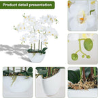 Ziwon Artificial Orchid Flowers & Plants Potted in Ceramic Pot, White Faux Phalaenopsis Orchids for Table Centerpiece, Realistic Fake Flower Arrangement for Home Office Decor Indoor