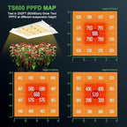 MARS HYDRO 2x2 Grow Tent Kit Complete System with 10 Speed Fan,100W Upgraded TS600 LED Dimmable Grow Light,24"x24"x55" 1680D High Reflective Mylar Grow Tent,4 inch Smart WiFi Control Ventilation Kit