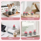 DomeStar Set of 6 Artificial Succulent Plants Potted, Assorted Decorative Pink Faux Succulent Potted Fake Cactus Cacti Plants with Pots