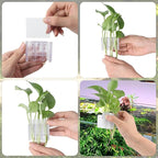 2 Pack Hanging Aquarium Plant Holder – 3 Holes Aquatic Plant Cups, Fish Tank Holder for Aquatic Plants, Ideal for Aquarium Tank Decoration(Transparent)