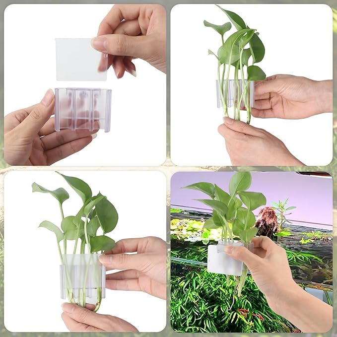 2 Pack Hanging Aquarium Plant Holder – 3 Holes Aquatic Plant Cups, Fish Tank Holder for Aquatic Plants, Ideal for Aquarium Tank Decoration(Transparent)