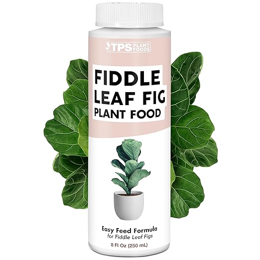 Fiddle Leaf Fig Plant Fertilizer – Liquid Plant Food for Bigger Leaves, Stronger Roots & Healthy New Growth, 8 oz