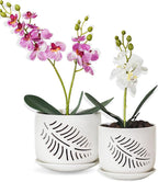 Set of 2 Orchid Pots with Holes, 5 and 6 Inch Ceramic Plant Pots for Plant Lovers – Great for Drainage & Airflow, Indoor/Outdoor Use, Perfect for Repotting