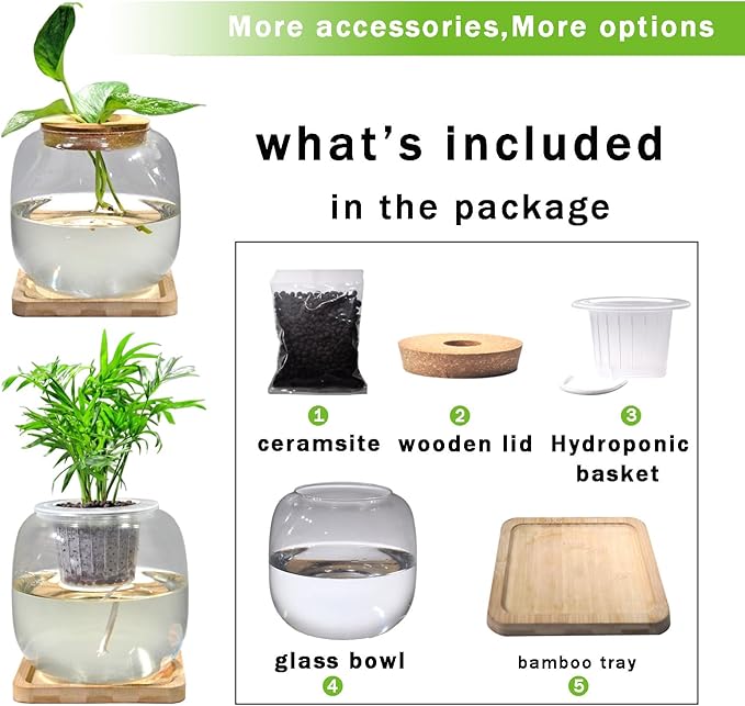 Betta Fish Bowl Glass Small Fish Tank with Bamboo Stand, Plant Propagation Station Hydroponic Terrarium with Lid beta Fish Aquariums 0.6 Gallon