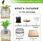 Betta Fish Bowl Glass Small Fish Tank with Bamboo Stand, Plant Propagation Station Hydroponic Terrarium with Lid beta Fish Aquariums 0.6 Gallon