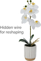Mikasa Artificial Orchid in Pot, Real Touch Phalaenopsis Orchid, Cream Glaze Ceramic Pot, 16-Inch Single Branch, White/Yellow