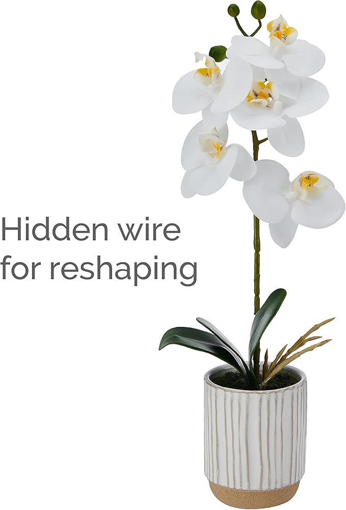Mikasa Artificial Orchid in Pot, Real Touch Phalaenopsis Orchid, Cream Glaze Ceramic Pot, 16-Inch Single Branch, White/Yellow