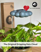 Stormy Dripping Rain Cloud with Heart Charm, Valentine Gift for Plant Lovers