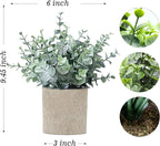 2 Pack Fake Plants Eucalyptus Small Potted Artificial Plants Indoor Greenery for Shelf Desk Home Bathroom Modern Farmhouse Living Room Coffee Table Decor