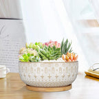 8 Inch Ceramic Succulent Planter Pots with Drainage Hole Flower Pot for Indoor Plants Round Shallow Bonsai Pot with Bamboo Tray White