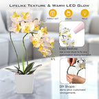 Riceshoot 2 Pack Lamp-LED Lighted Orchids Artificial Flowers, 20" White Real to Touch Faux Orchid with Pots Silk Phalaenopsis Plant for Table Centerpieces Home Office Living Room Wedding Decoration