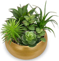 Hollyone Fake Plants Artificial Succulents in Pots Faux Succulent Arrangement Potted Plant in Gold Ceramic Planter Bowl for Home Decor Office Desk Bathroom Shelf Living Room Indoor Decorations