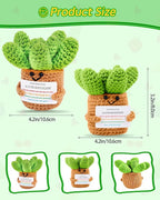 JELUTAR Crochet Positive Succulent Plant Thank You Gifts for Birthday Easter Mother's Day, Emotional Uplifting Gifts for Women Men Mom Dad Friends Wife Coworkers Cute Funny Decors (Cute Succulent)