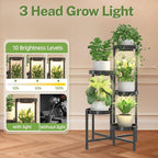 iDavosic.ly Plant Stand Indoor with Grow Light, 5 Tier Corner Metal Flower Display Holder Shelf, Easy Assembly Folding Tall Orchid Rack for Patio Balcony Porch Garden Living Room House, Black