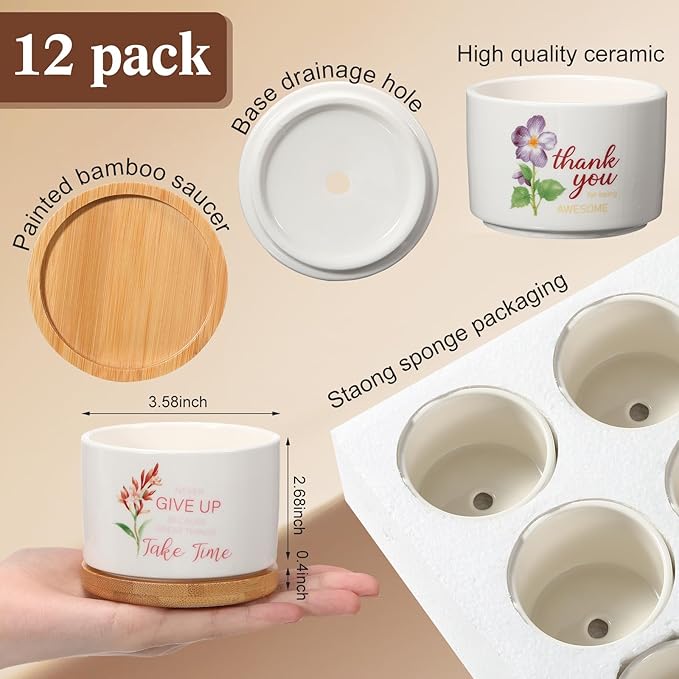 Funnymoom 12 Pcs Inspirational Succulent Pot Bulk Teacher Appreciation Gift Floral Ceramic Planter with Bamboo Tray Thank You Gifts for Volunteer Coworker Employee Office, Plant Excluded (Stylish)