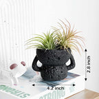 Air Plant Holders Unique, Lava Rock Air Plant Pot, Classy Black Plant Stand Container for Air Plants, Small Rock Pot (Black)