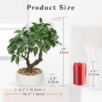 Artificial Bonsai Tree, Small Ficus Bonsai Tree 13" Indoor Bonsai Tree Fake Potted Plant Decorative Fake Desk Plant Decor with Ceramic Pot for Home Office Living Room Bedroom Bathroom Table Shelf