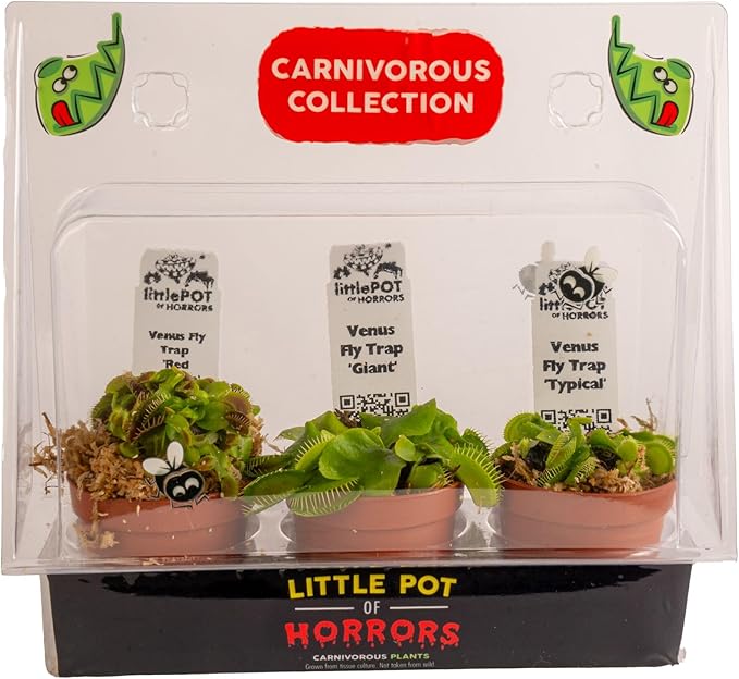 Costa Farms Live Venus Flytrap, Carnivorous Plant Collection (3-Pack), Natural Indoor Pest Control, Exotic Predator Plants, Unique Home Decor