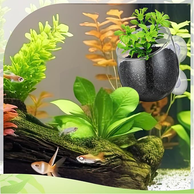 Dandat 8 Pcs Aquarium Plant Holder Pot Clear Glass Aquatic Plant Cup with Suction Cups Aquarium Fish Tank Pots for Aquaponic Cultivation Water Feature Decoration