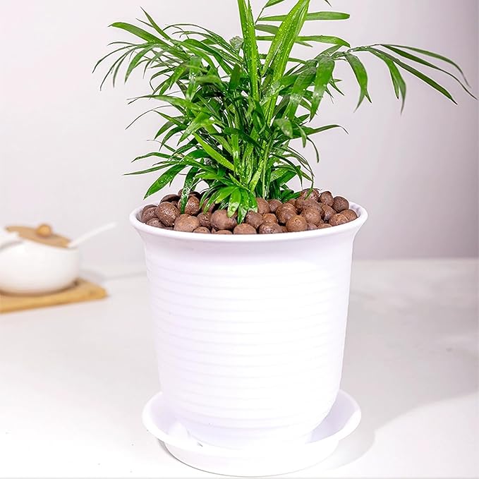 FANTIAN 5 lbs Clay Pebbles for Plants, 8-12 mm Leca Clay Balls for Indoor Plants, Orchid Potting Mixes, Hydroponic Growing, Aquaponics, Potted Top Dressing and Drainage