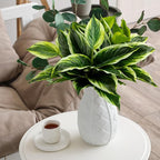 4Pcs 17.7inch Artificial Halcyon Hosta Perennial Plants Faux Green Dieffenbachia Plant Greenery Aesthetic House Plants Outdoor Shrubs Indoor Office Yard UV Resistant Planter Filler