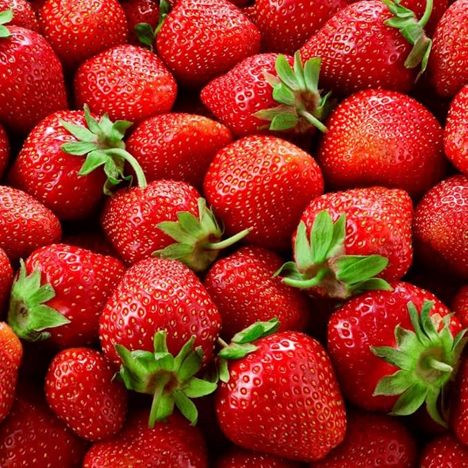 All Star Strawberry Plants - Grow Giant Strawberries - Bare Root Plants - No Ship to California (5 Strawberry Plants)