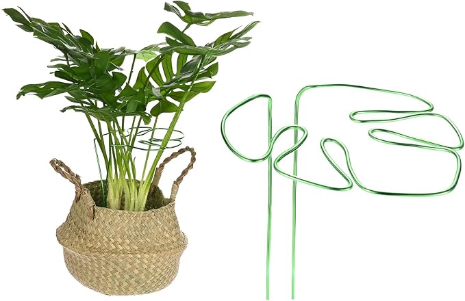 M METERXITY 1-Pack Monstera Plant Support, 11x5.9 Inch Reusable Sturdy Alloy Plant Support Stakes Unique Design for Potted Plants Flowers/Vegetables/Indoor Outdoor Climbing Plants [Green]