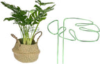 M METERXITY 1-Pack Monstera Plant Support, 11x5.9 Inch Reusable Sturdy Alloy Plant Support Stakes Unique Design for Potted Plants Flowers/Vegetables/Indoor Outdoor Climbing Plants [Green]