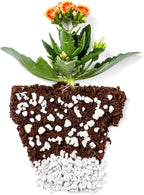 Perlite Bliss (16 Qts) - Organic Perlite for Plants Indoor Soil Amendment - Horticultural Perlite for Gardening & Seed Starting - Mixes Easily with Potting Soil, Vermiculite, & Coco Coir for Plants