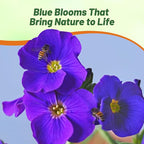 Outsidepride Cascade Blue Aubrieta Rock Cress Seeds - 2000 Pcs Perennial Flower Seeds, Easy to Grow, Low Maintenance, Cascading & Low Growing, for Baskets, Rock Walls, or Ground Covers
