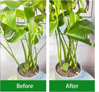 5Pcs Gold Plant Stem Support, Stable Support Stakes for Plants Stabilize, Outdoor & Indoor & Garden Plant Stakes for Healthy Growth (Flower Shaped Bracket C)