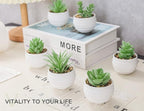 Der Rose 6 Pack Fake Plants Small Realistic Succulents Plants Artificial for Home Room Decor Indoor