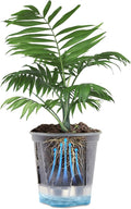 Wonderjune Self Watering Pots for Indoor Plants with Deep Reservoir and High Drainage Holes for Outdoor Plants and Flowers, Bare Root Planter (4.72'',Clear,1 Pcs)