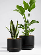 LE TAUCI 12 Inch Pot for Plants with Saucer, Ceramic Indoor Planter Pot with Drainage Hole, Mesh Pad & Plug Included, Matte Glazed Outside, Modern for Home and Office, Obsidian Black & Ochre