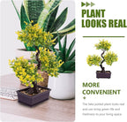 Cabilock Artificial Bonsai Tree Faux Potted Plant Realistic Simulation for Home Office Desk Decor Low Maintenance Greenery 5.12X10.63X11.81 Inches