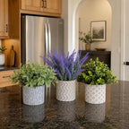 Set of 3 Artificial Potted Plants, Faux Eucalyptus Lavender and Tea Tree Greenery in Cement Pots, Small Fake Plants for Shelf Bathroom Office Desk Decor