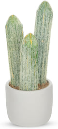 DILATATA 9.8' Small Old Man Cactus Faux Cacti Plant ARTIFICIAL Cactus for Home Garden Office Decor Housewarming Gifts
