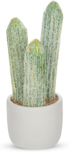 DILATATA 9.8' Small Old Man Cactus Faux Cacti Plant ARTIFICIAL Cactus for Home Garden Office Decor Housewarming Gifts