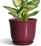Ceramic Pots for Plants - 5.6 Inch Plant Pot for Indoor Outdoor, Round Succulent Orchid Pot with Drainage Hole and Saucer, Modern Small Planter, Window Office Desk Decor, Teacher Gifts, Red