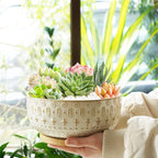 8 Inch Ceramic Succulent Planter Pots with Drainage Hole Flower Pot for Indoor Plants Round Shallow Bonsai Pot with Bamboo Tray White