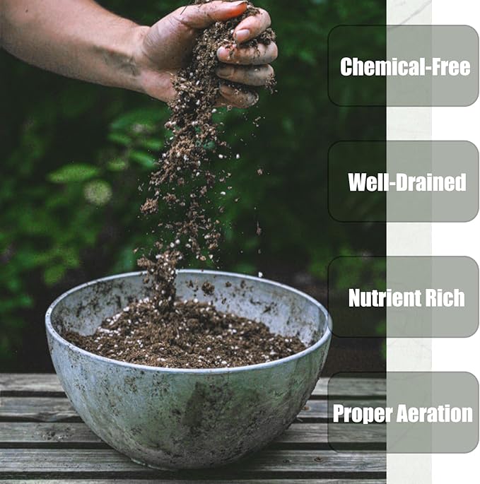 Doter Organic Potting Soil Mix 4qt for All Indoor & Outdoor Small Containers Including Herbs, Vegetables, and Flowers