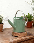 Bamworld Watering Can for Indoor Outdoor Plant Metal Watering Can with Removable Spout Embossd Design Plant Watering Devices Stainless Steel 1/2 Gallon Watering Cans Home & Garden Décor Creamy Green