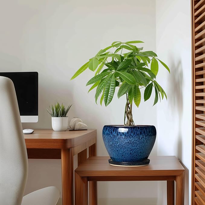 8 Inch Plant Pot - Ceramic Planter for Indoor Plants Outdoor, Round Planter with Drainage Hole and Saucer, Modern Decorative Flower Pots, Home Office Room Decor, Plant Lovers Gifts, Blue
